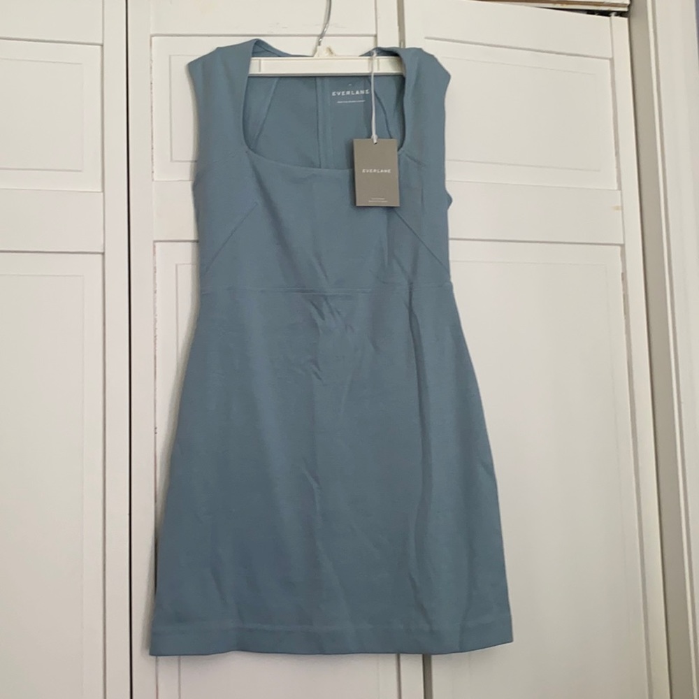 Everlane 90s Mini Dress